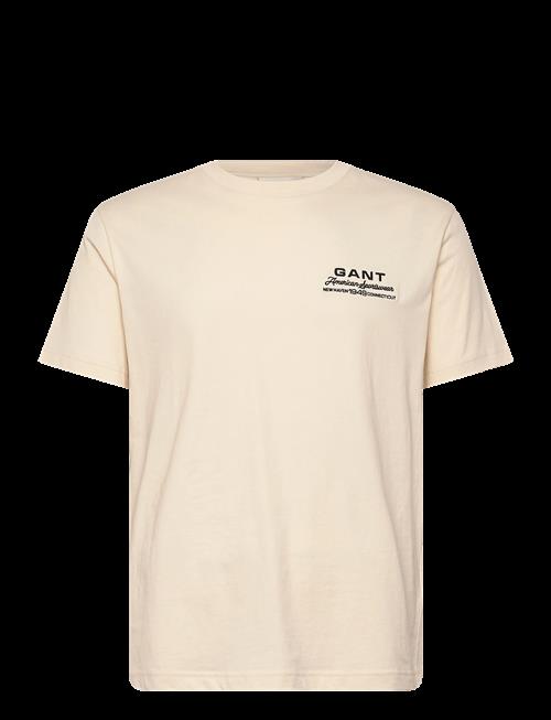 Gant | Small Graphic Ss Tshirt | XL