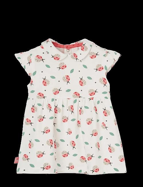Boboli | Knit Dress Printed For Baby -Bci | 86
