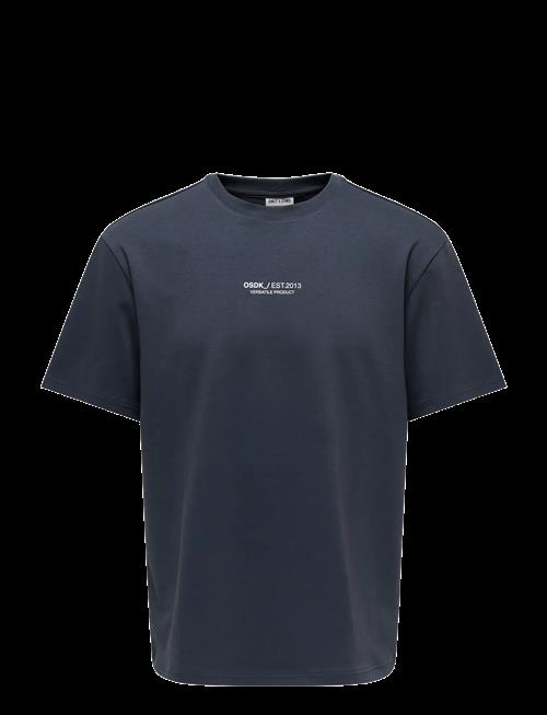 ONLY & SONS | Onscaspian Airflex Process Boxy Ss Tee | L