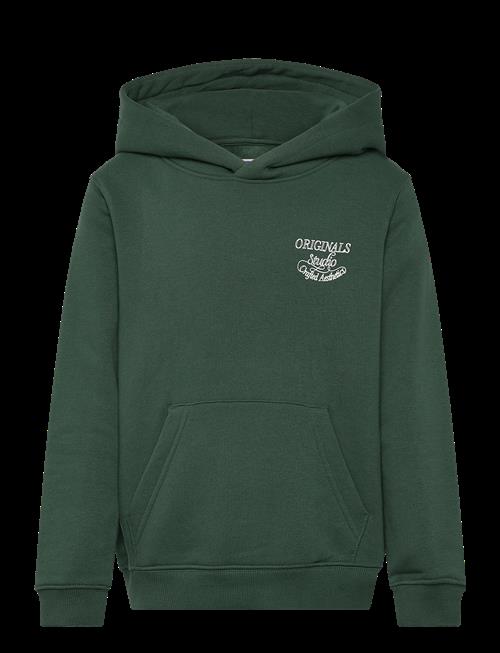 Jack & Jones | Jorniagara Typo Sweat Hood Jnr | 128