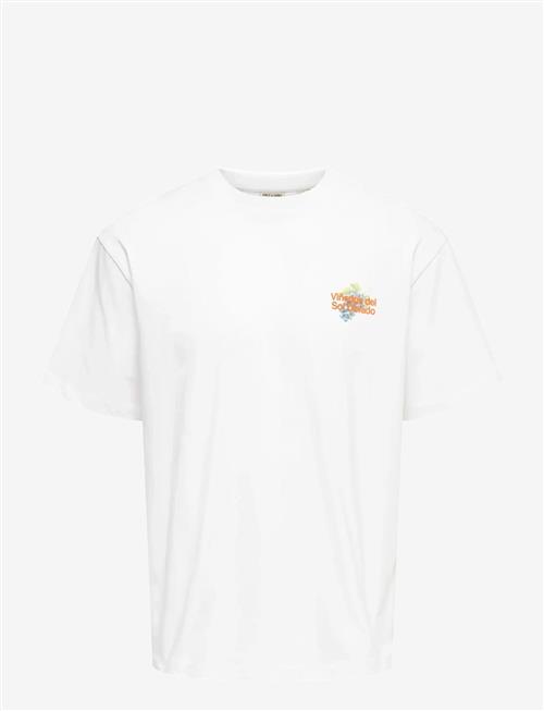 ONLY & SONS | Onsfred Life Rlx Ss Print Tee Noos | XXL
