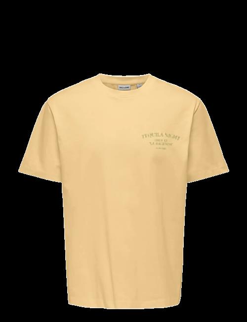 ONLY & SONS | Onsfred Life Rlx Ss Print Tee Vd | M