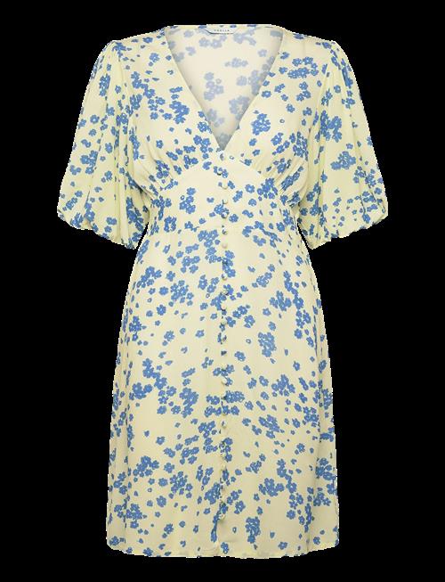 Noella | N-Lilliana Dress | XL