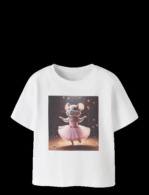 name it | Nmfvotea Ss Nreg Top | 98