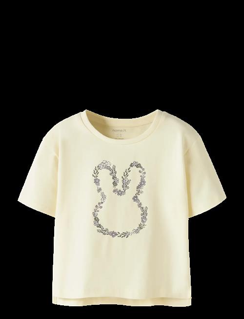 name it | Nmfdeneas Ss Nreg Top | 104