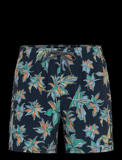 Rip Curl | Sessions Volley | XL