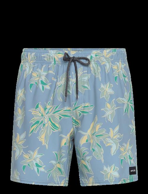 Rip Curl | Sessions Volley | L