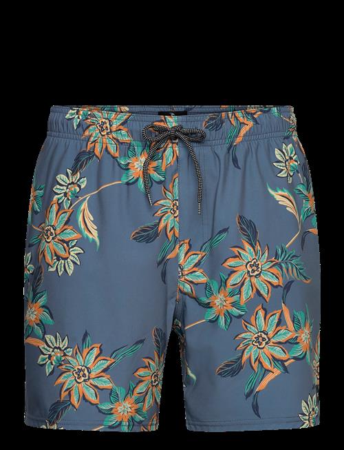 Rip Curl | Sessions Volley | S