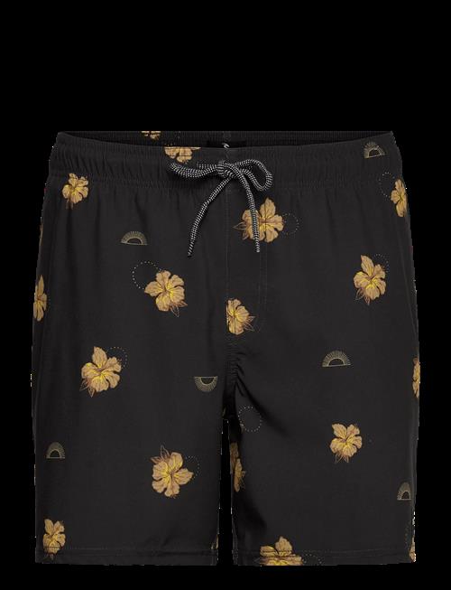 Rip Curl | Sessions Volley | L