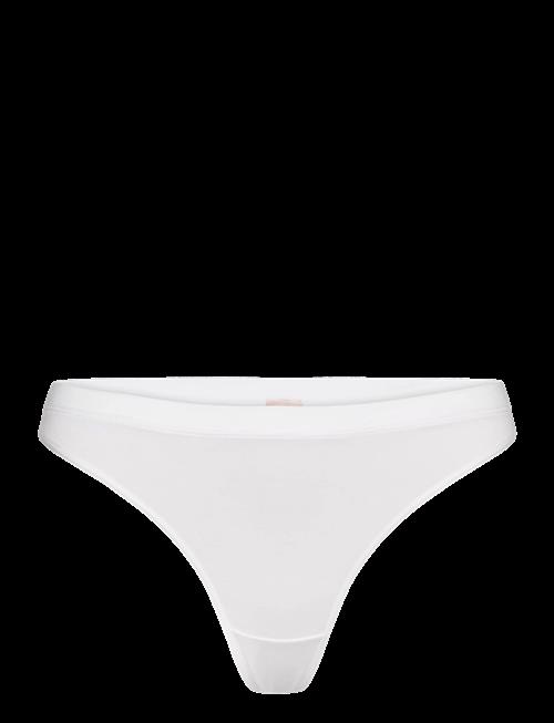CCDK Copenhagen | Modal String Brief | XL