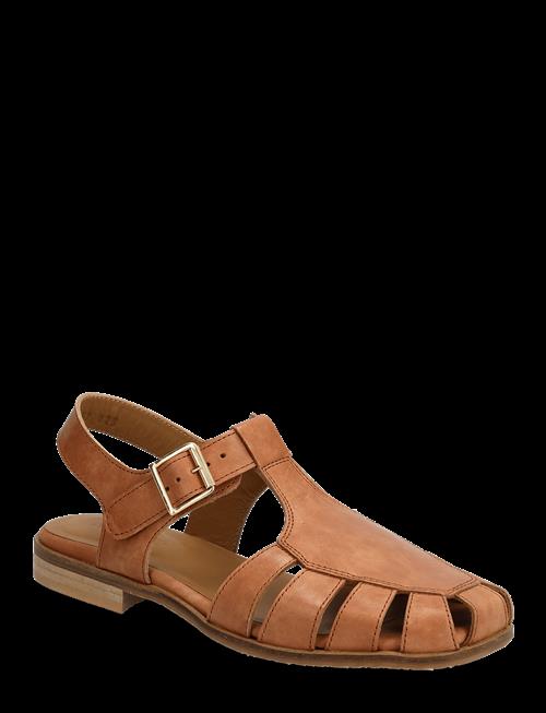 ANGULUS | Sandals - Flat  - Closed Toe - Op | 38