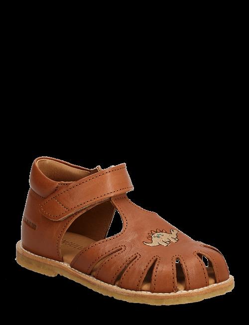 ANGULUS | Sandals - Flat  - Closed Toe | 20