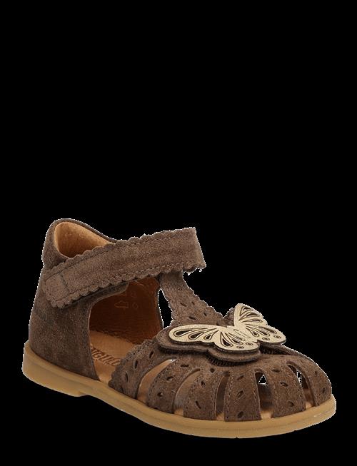 ANGULUS | Sandals - Flat  - Closed Toe | 24
