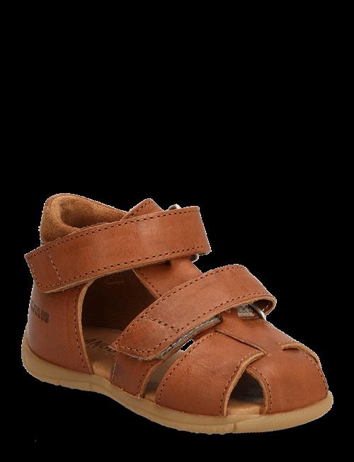 ANGULUS | Sandals - Flat  - Closed Toe | 19