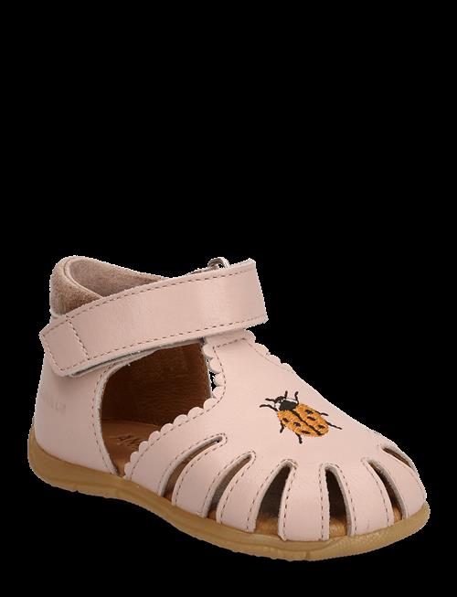 ANGULUS | Sandals - Flat  - Closed Toe | 22