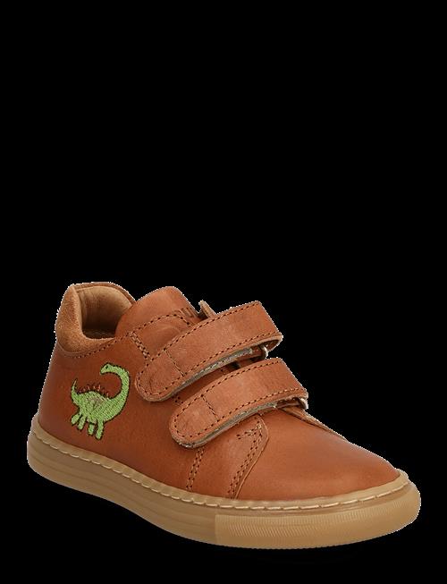 ANGULUS | Shoes - Flat - With Velcro | 22