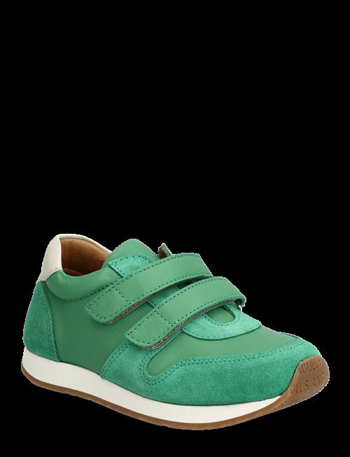 ANGULUS | Shoes - Flat - With Velcro | 23