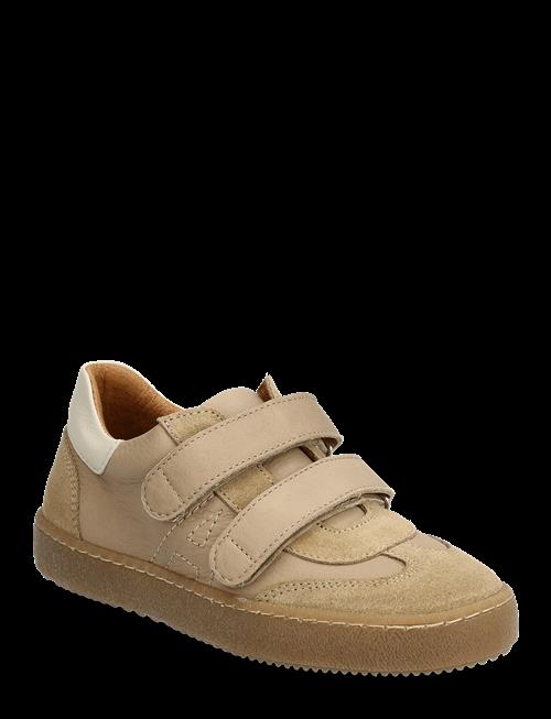 ANGULUS | Shoes - Flat - With Velcro | 35