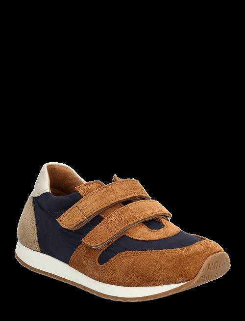 ANGULUS | Shoes - Flat - With Velcro | 31