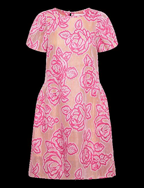 Naja Lauf | Nomi Dress Blind Rose | 34