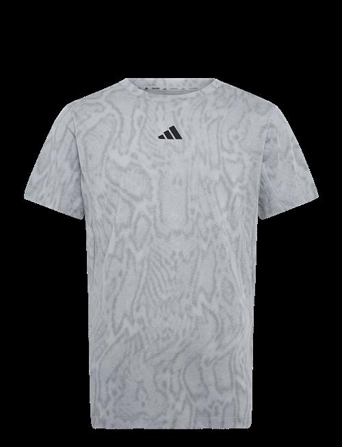 adidas Performance | D4T Primelift T | M
