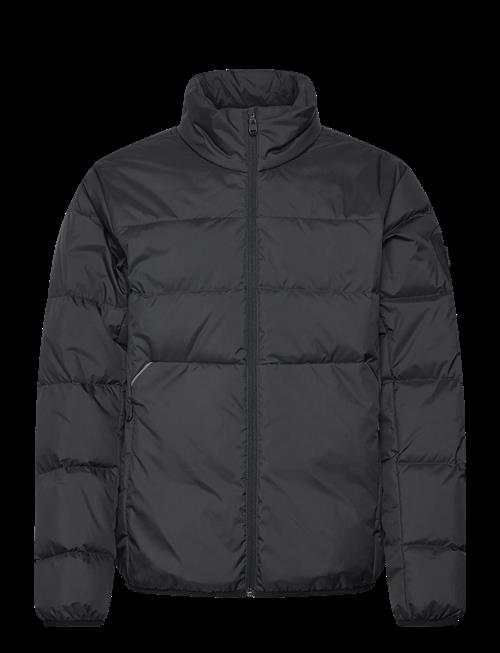 BOSS | Ow_Urbanex Puffer | XXL
