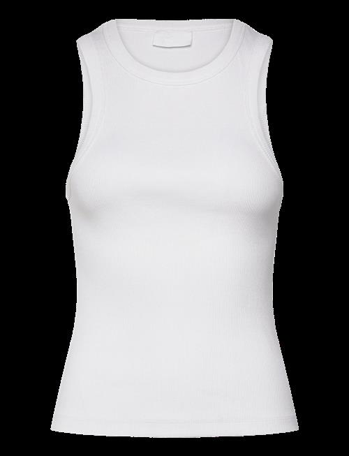 2NDDAY | 2Nd Purity Tt - Daily Cotton Rib | XS