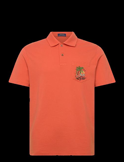 Polo Ralph Lauren | Standard Fit Mesh Graphic Polo Shirt | S