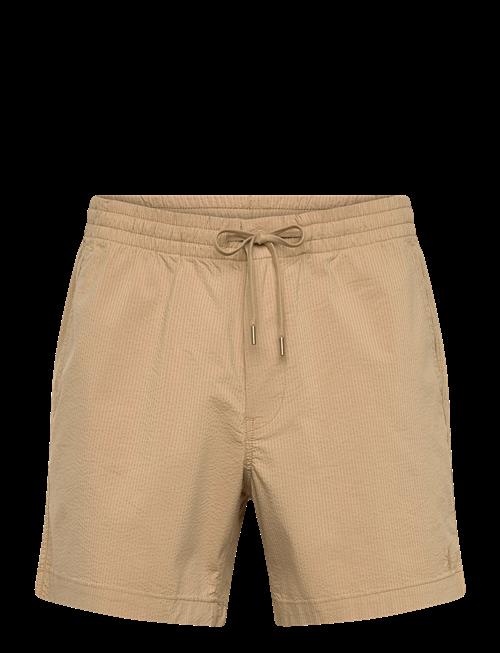 Polo Ralph Lauren | 710P08195004 | S