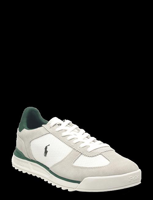 Polo Ralph Lauren | Varick Suede & Mesh Sneaker | 42