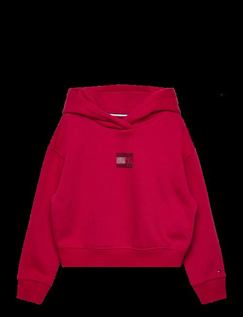Tommy Hilfiger | Rhine Stone Flag Hoodie | 116
