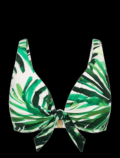 Triumph | Summer Palm W | F x 40