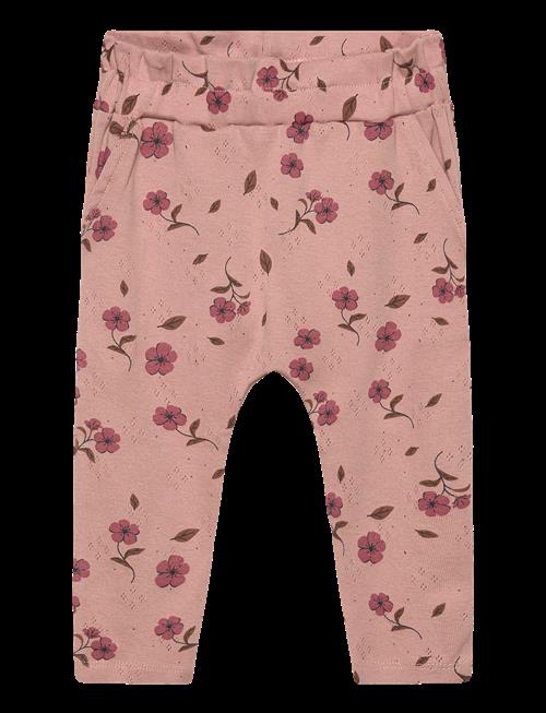 The New | Tnsbpicole Pointelle Pants | 68