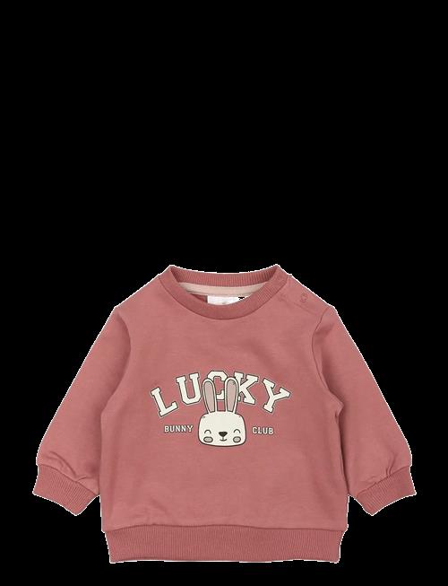 The New | Tnsbpheba Sweatshirt | 86