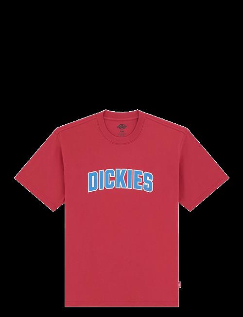 Dickies | Aitkin Ss Tee | L