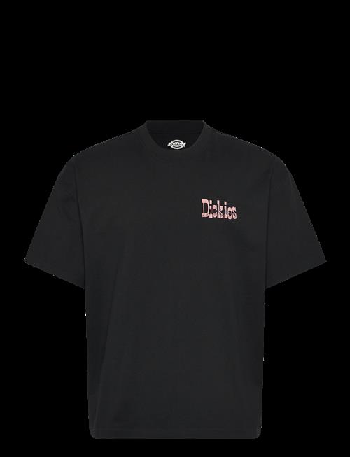 Dickies | Polk Ss Tee | S