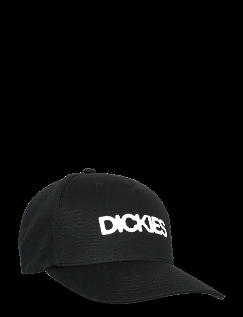 Dickies | Torrey Snapback Cap | ONE SIZE