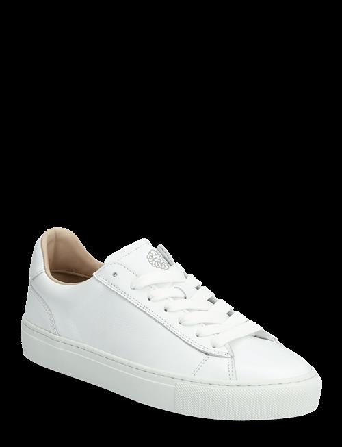 Sneaky Steve | Grand W White | 38