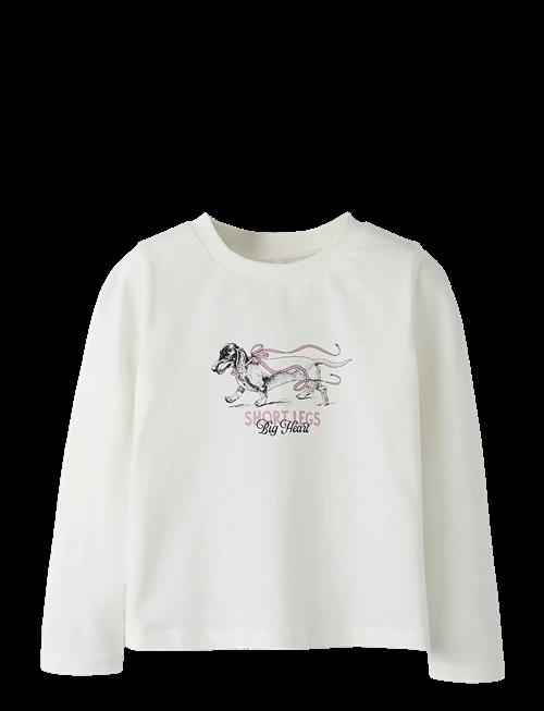 name it | Nmfsigne Ls Nreg Top | 80