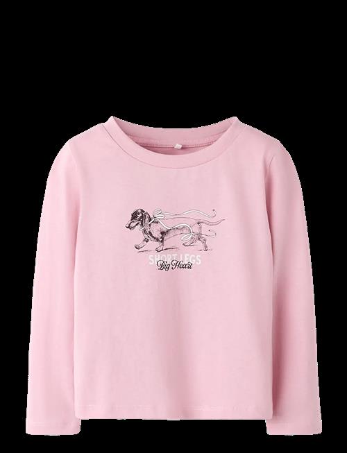 name it | Nmfsigne Ls Nreg Top | 104