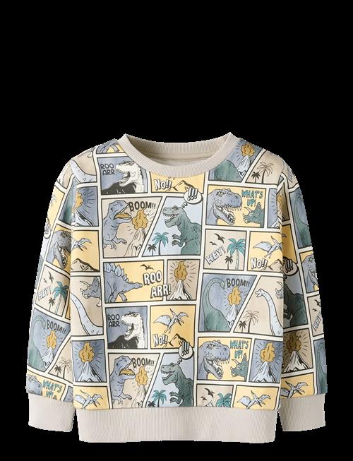 name it | Nmmsikalas Ls Nreg Swe Bru | 104