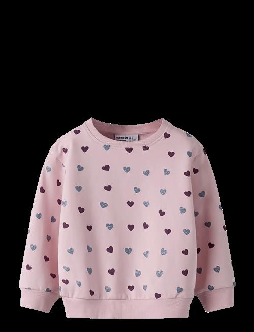 name it | Nmfsolea Ls Nreg Swe Bru | 92