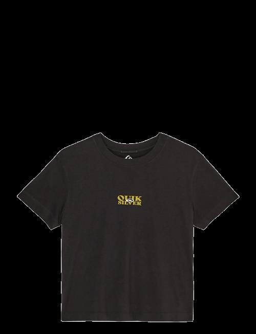 Quiksilver | Standard Ss Tee | M