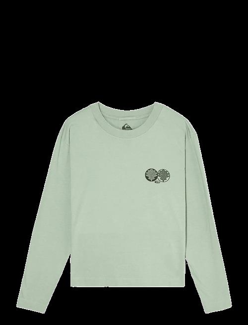 Quiksilver | Standard Ls Tee | XL