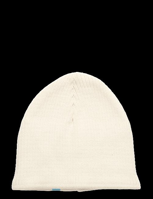 COLD | Steve Windstop | 58