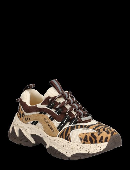 Steve Madden | Animates-Le | 36