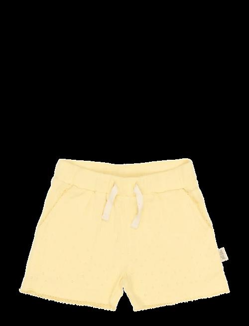 Petit Piao | Ppsuze Pointelle Shorts | 104
