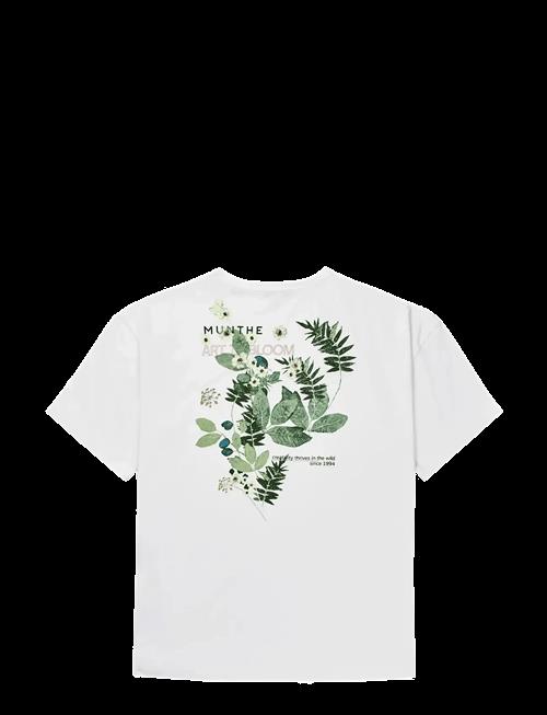 Munthe | Lanster | S