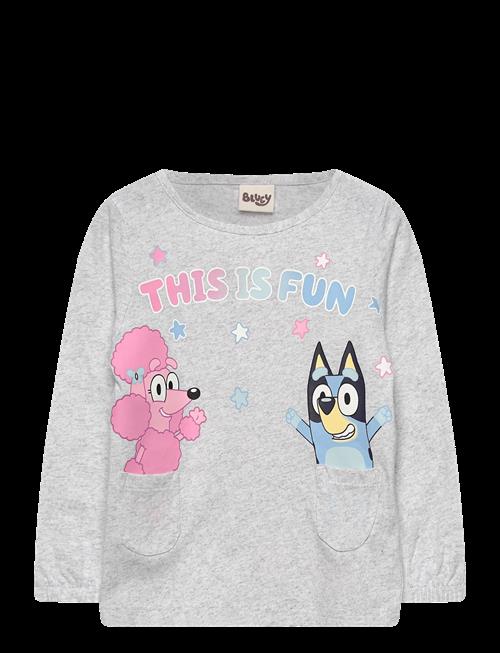 Bluey | Tshirt | 104