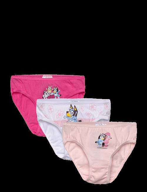 Bluey | Briefs | 104/110